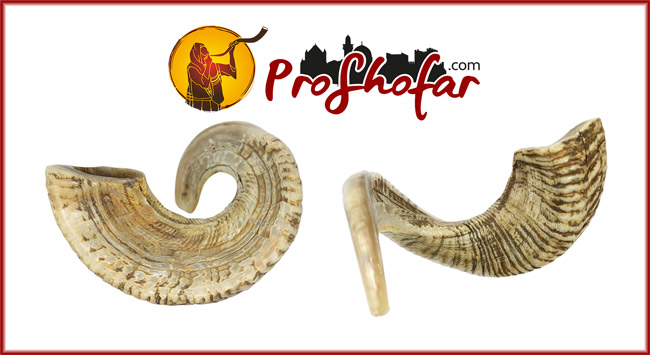 What is Jericho Shofar ?