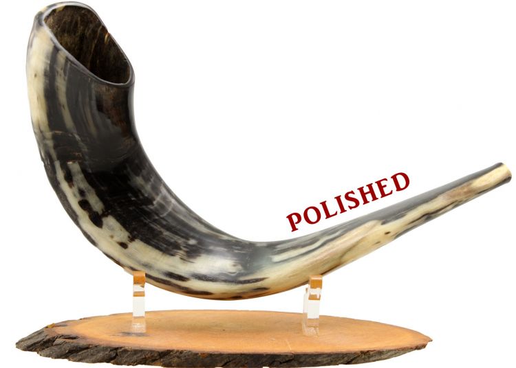 tanduk shofar buatan Israeltanduk shofar buatan Israel  