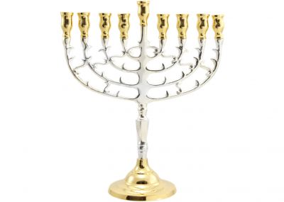 Silver Plated and Brass Chanukah Menorah