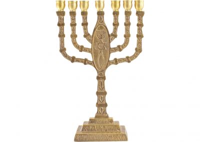 Seven Branch Menorah With Grafted in Symbol