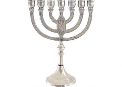 Gorgeous Seven Branch Menorah