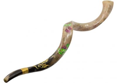 Hand Painted Huge Kudu Shofar - Eagle Motive