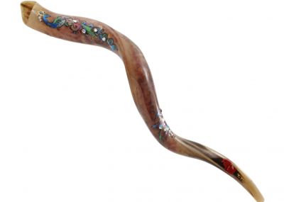 Hand Painted Huge Kudu Shofar - Peacock Themed