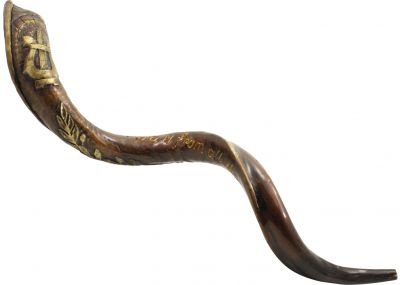 Beautifully engraved Yemenite Kudu Shofar - David's Lyre 