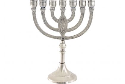 Gorgeous Seven Branch Menorah