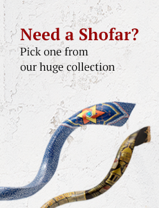 collection of Shofars