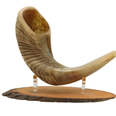 Raam Shofars