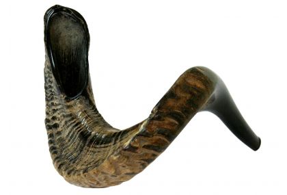 Ram's Horn Shofar - Large - Half Polished