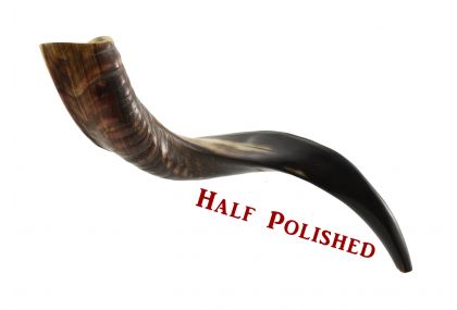 Yemenite Kudu Shofar - Small - Half Polished 16 - 20