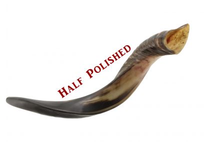 Yemenite Kudu Shofar - Medium - Half Polished 20-24